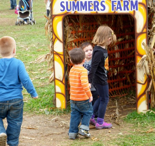 Entering the Corn Tunnel